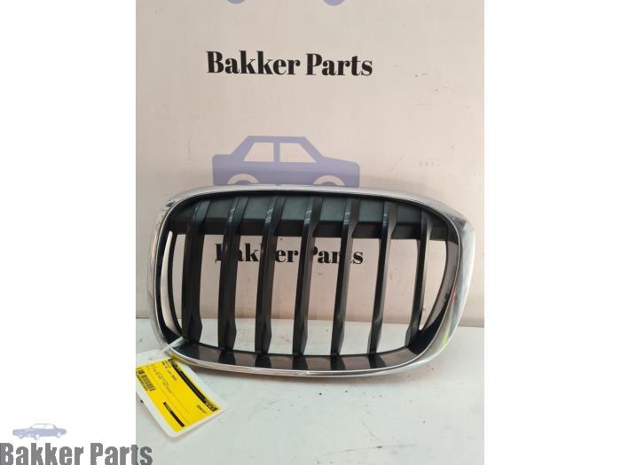 Calandre d'un BMW X1, Autos : Pièces & Accessoires, Carrosserie & Tôlerie, -, -, 3 mois de garantie, Utilisé