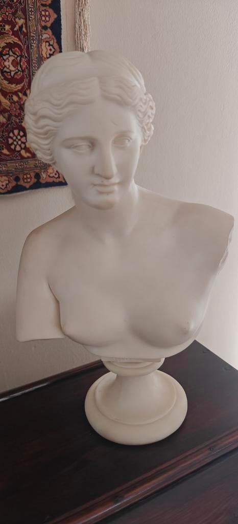 Vénus., Enlèvement ou Envoi