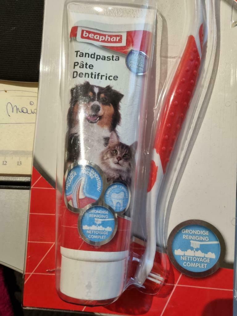 Kit brosse à dent dentifrice  pour chien, Animaux & Accessoires, Envoi, Neuf
