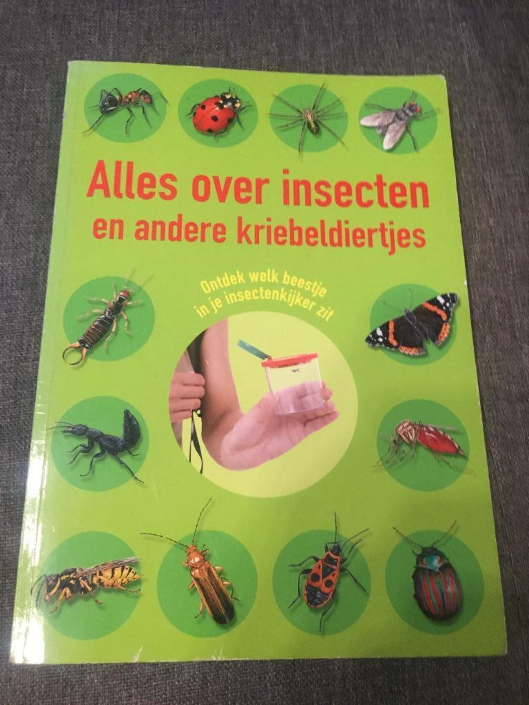 Boekje Alles over Insecten, Boeken, Ophalen of Verzenden, Zo goed als nieuw, Overige diersoorten