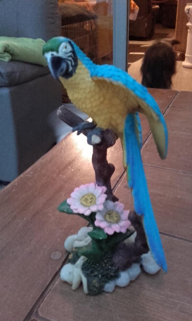 Beeld Blauw gele ara met bloemen, Ophalen of Verzenden