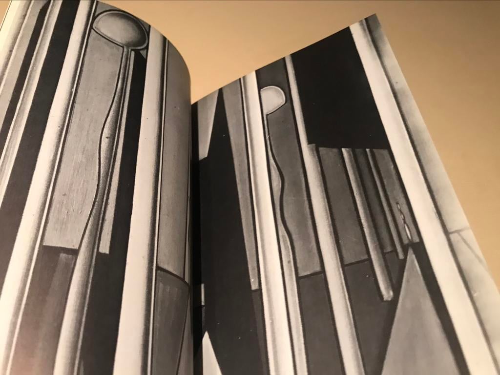 Luc Peire Dessins Peintures 150 pages, Enlèvement ou Envoi, Comme neuf, Peinture et dessin