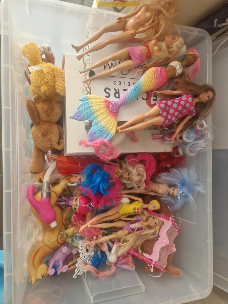 20-30 poppen barbie, elza met paard enz..., Kinderen en Baby's, Ophalen, Zo goed als nieuw