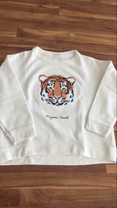Sweater meisjes Zara, maat 122, 7 jaar, in perfecte staat, Ophalen of Verzenden, Zo goed als nieuw, Meisje, Shirt of Longsleeve