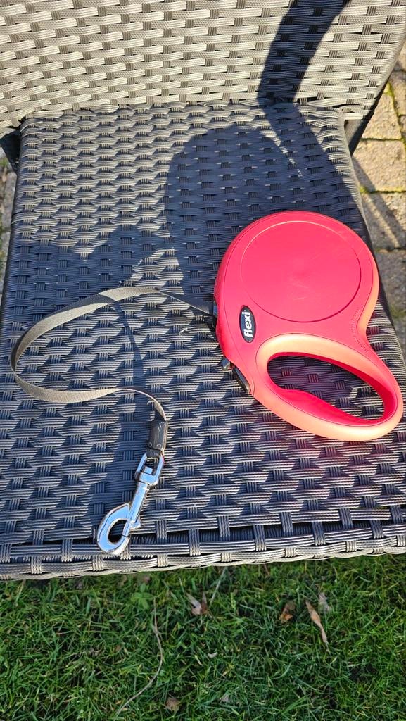 Laisse rouge extensible pour chien avec option de verrouilla, Enlèvement ou Envoi, Utilisé, Laisse pour chien