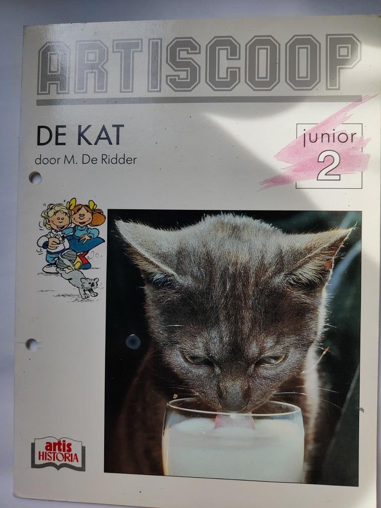 Artiscoop De kat, Enlèvement ou Envoi, Utilisé