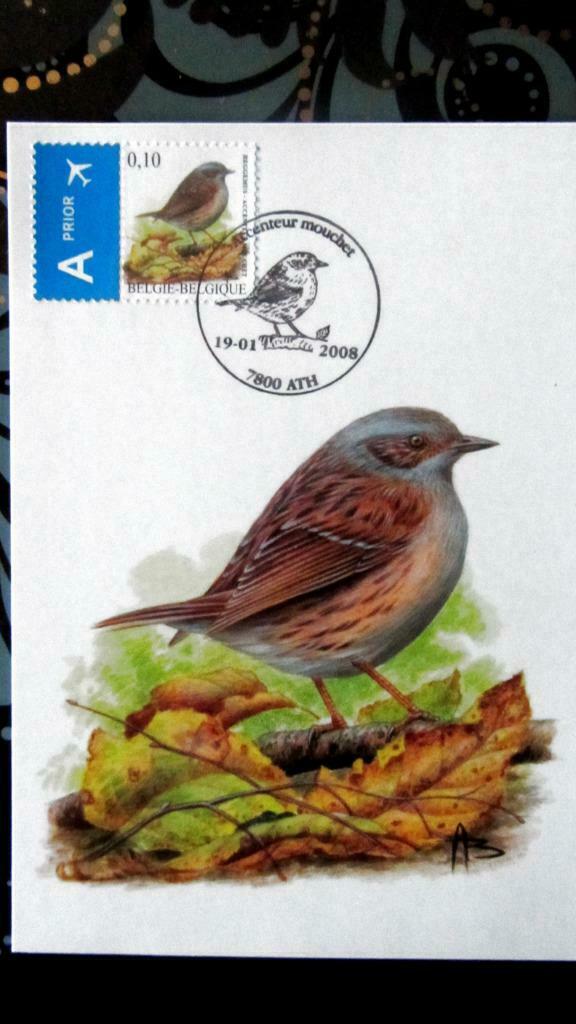 FIRST DAY OP KAART- VOGELS VAN BUZIN- DE HEGGEMUS, Ophalen of Verzenden, Gestempeld, Dier of Natuur