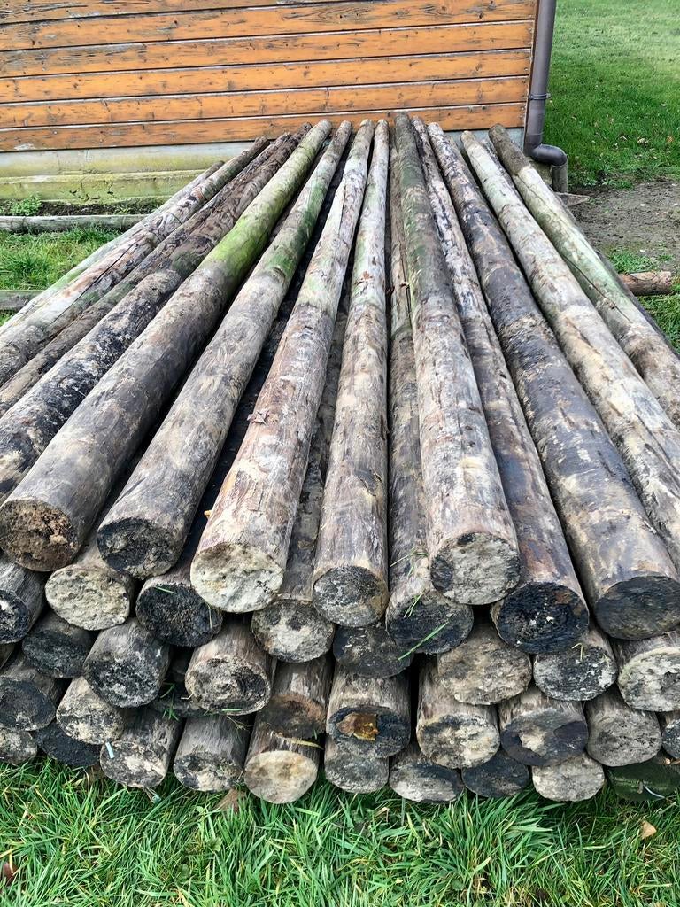 Stevige houten weide palen 350 cm x 10 cm, Ophalen, Gebruikt, 250 cm of meer, Palen