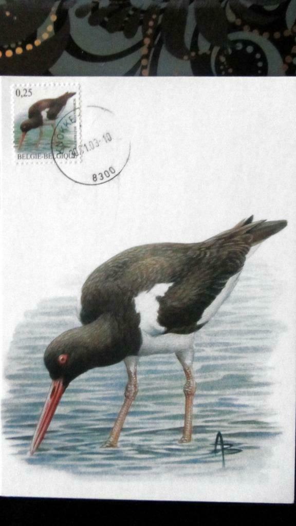 FIRST DAY OP KAART- VOGELS VAN BUZIN- DE SCHOLEKSTER, Ophalen of Verzenden, Gestempeld, Dier of Natuur