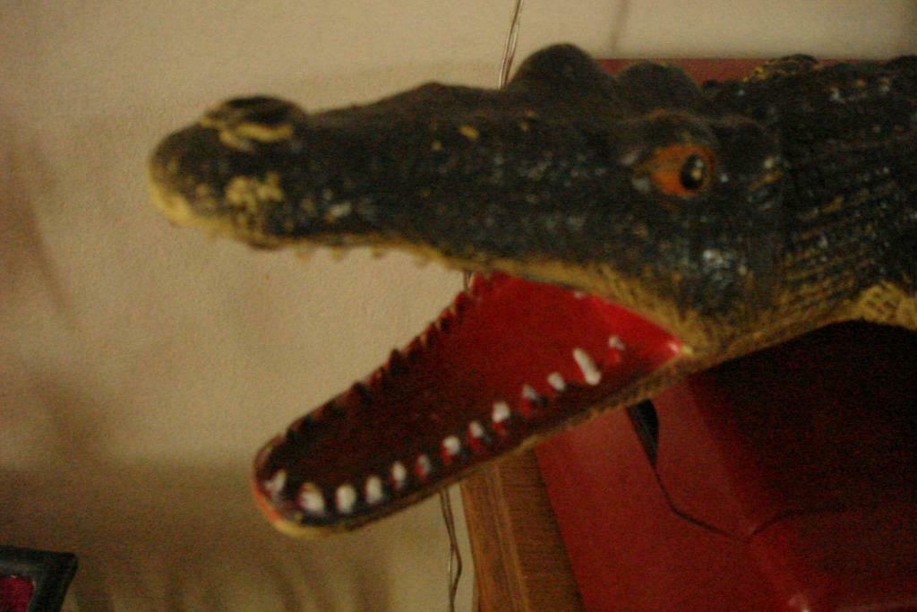 CROCODILE POUR DECORATION, Collections, Collections Animaux, Enlèvement ou Envoi, Utilisé, Reptile ou Amphibien, Statue ou Figurine