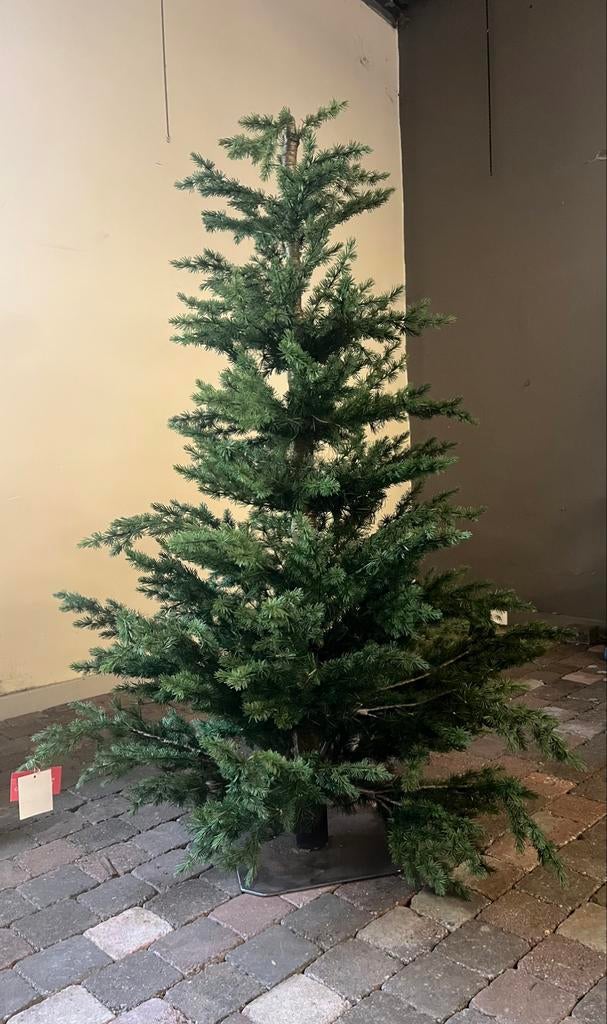 Kerstboom, Ophalen, Zo goed als nieuw