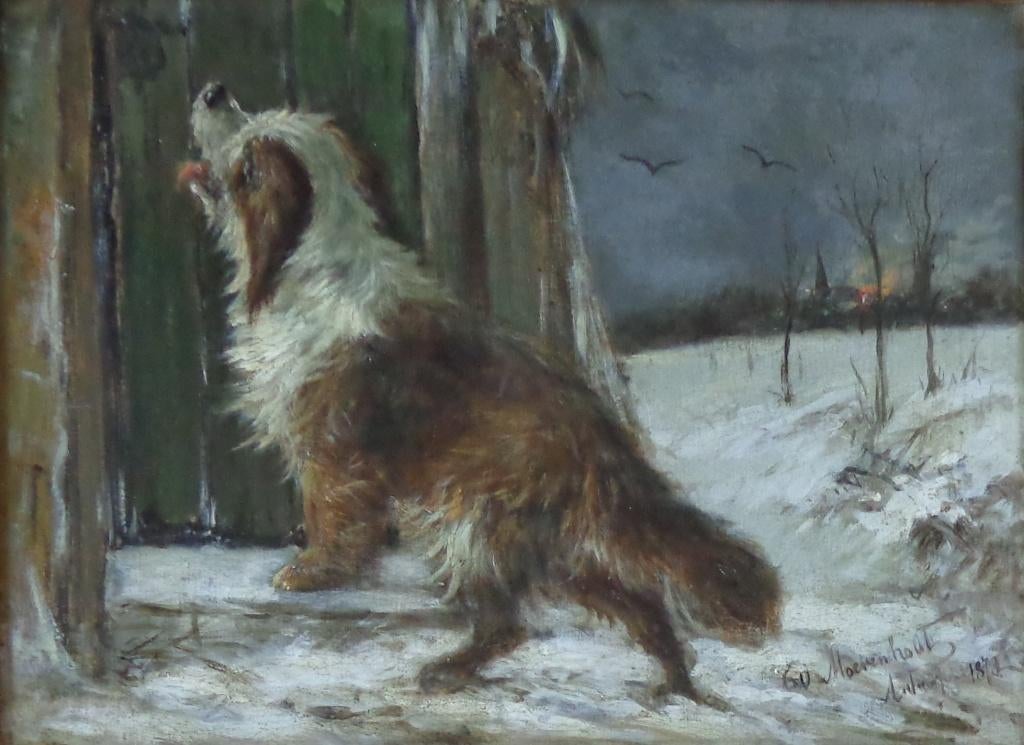 MOERENHOUT / HOND IN SNEEUW / OLIEVERF / 58x70cm KADER SIG, Enlèvement ou Envoi