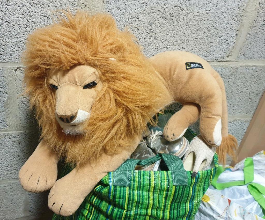 Peluche lion, Enlèvement ou Envoi, Comme neuf