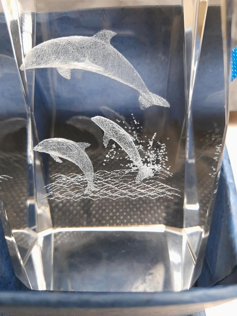 Bloc de verre gravure 3D de dauphins, Enlèvement ou Envoi