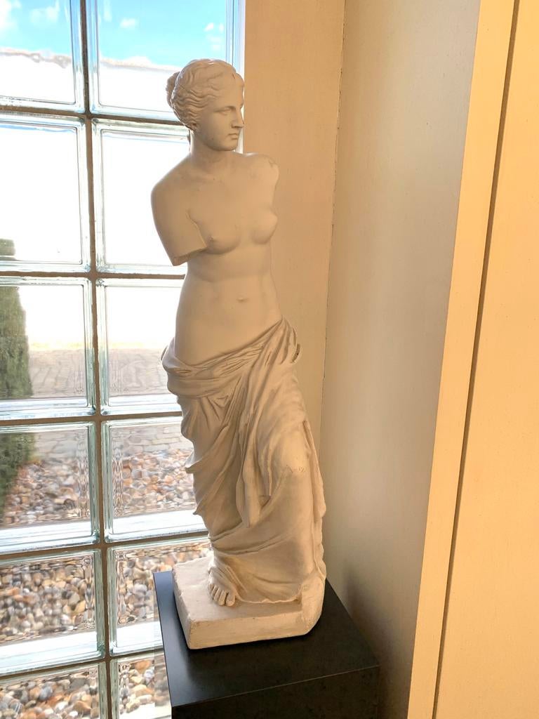 Kunstwerk beroemde Venus van Milo, Ophalen
