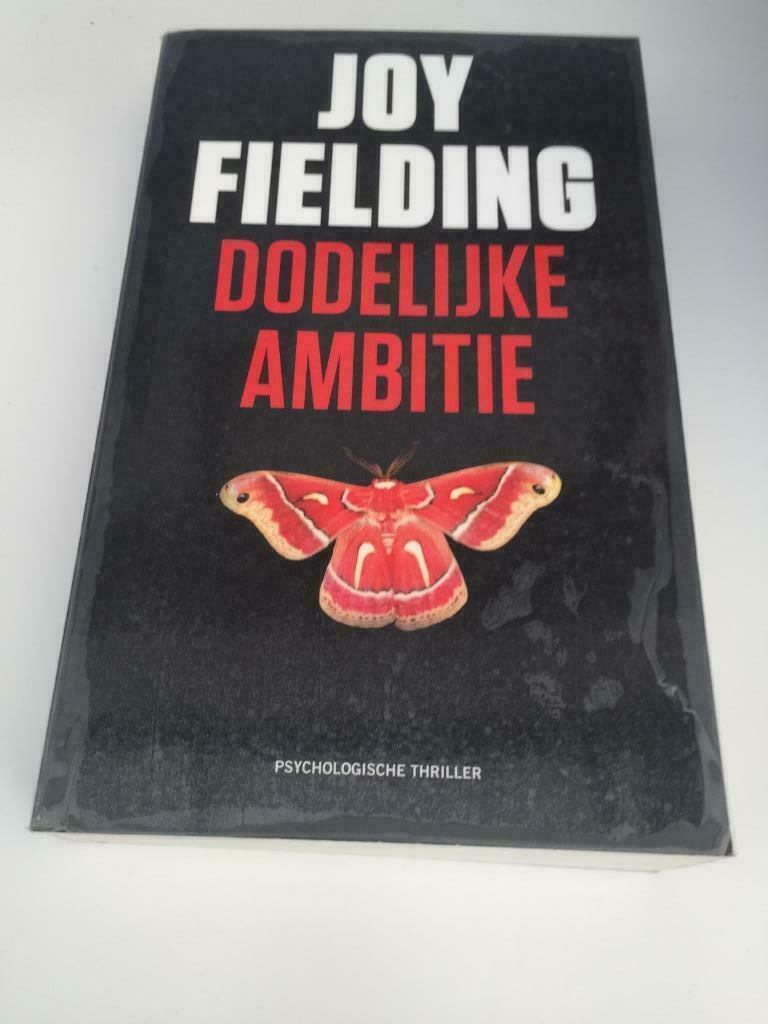 Boek / Joy Fielding - Dodelijke ambitie, Ophalen of Verzenden, Gelezen