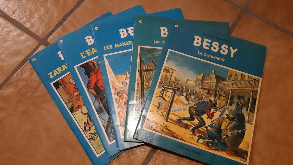BESSY en EO - Willy Vandersteenn, Enlèvement ou Envoi, Utilisé