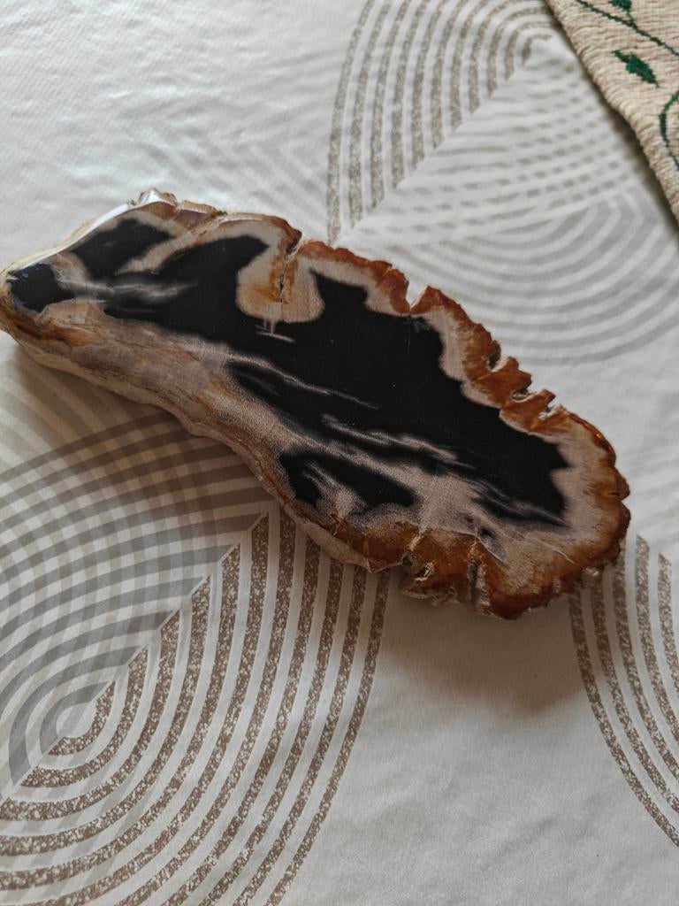 Versteend hout, Verzamelen, Ophalen of Verzenden