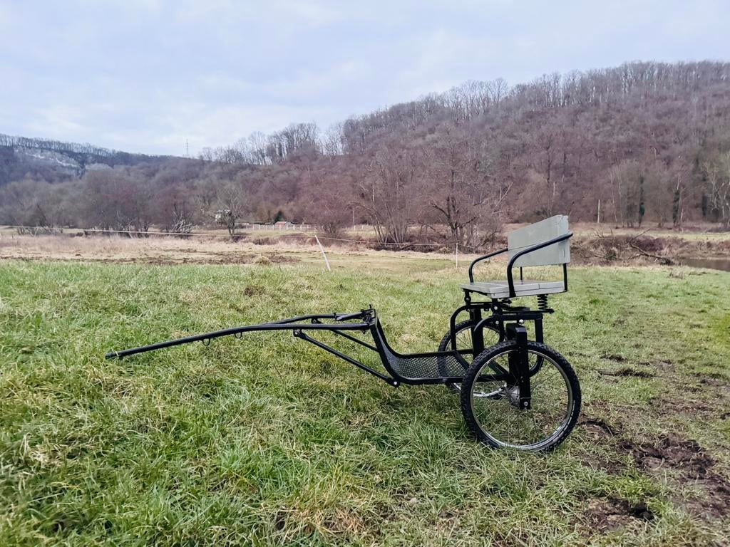 Sulky pour poney Shetland, Zo goed als nieuw, Sulky, Pony