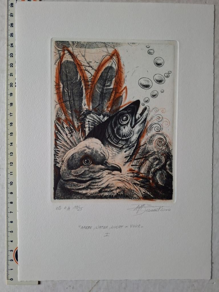 Fraaie kleurets Hugo Besard "Aarde, water, lucht & vuur I", Ophalen of Verzenden, Flora en Fauna, Ets, Gesigneerd