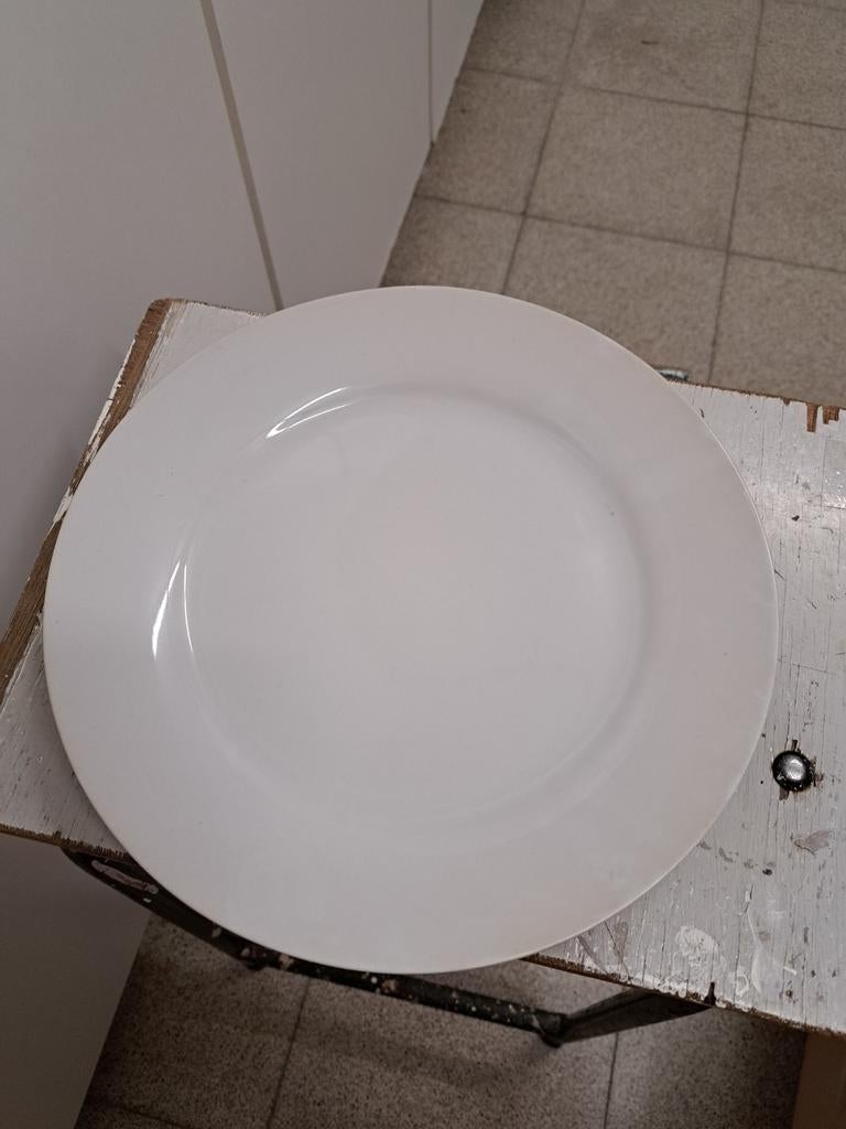 12 grote ronde borden, Huis en Inrichting, Keuken | Servies, Ophalen of Verzenden, Bord(en)