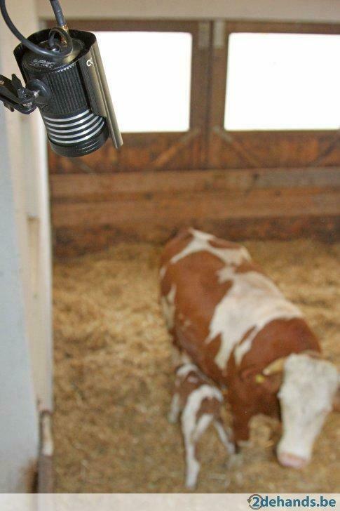 Camera monitoring landbouw, Agrodieren de beste prijzen, Ophalen of Verzenden, Veehouderij, Stalinrichting