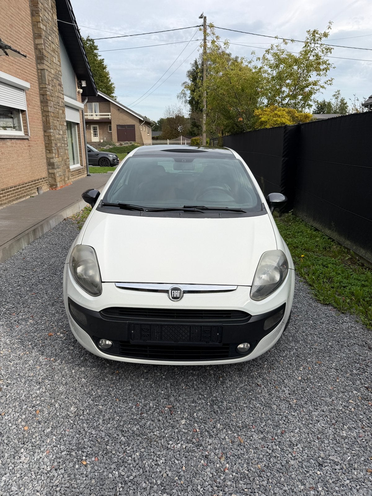 Fiat Punto Evo 1.3 Multijet, Autos, Achat, Boîte manuelle, 1219 kg, Noir