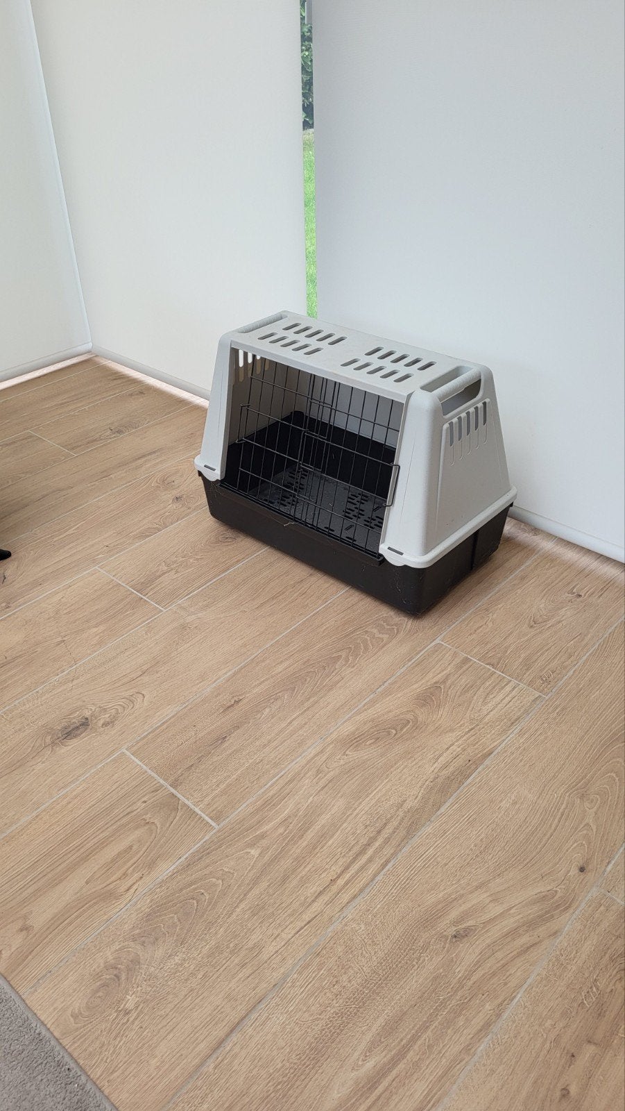 beche, Animaux & Accessoires, Caisses pour chiens, Enlèvement