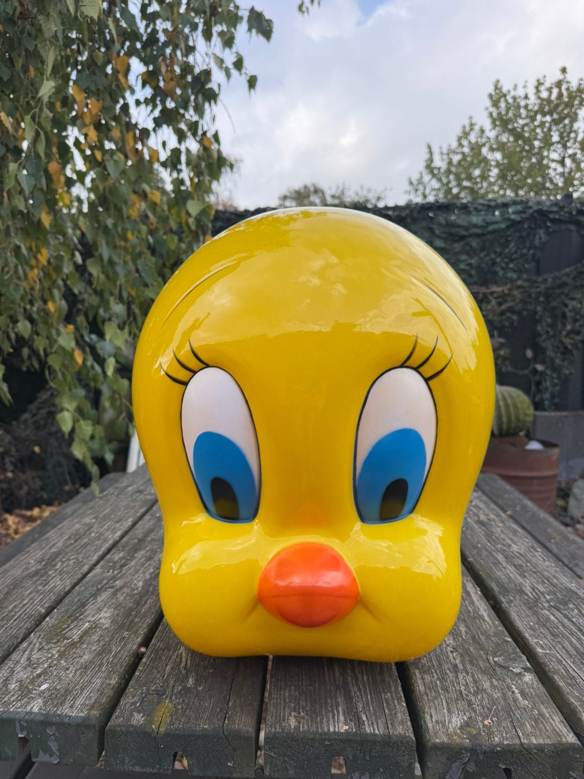 Tweety Looney Tunes beeld / hoofd, Ophalen, Gebruikt, Dier
