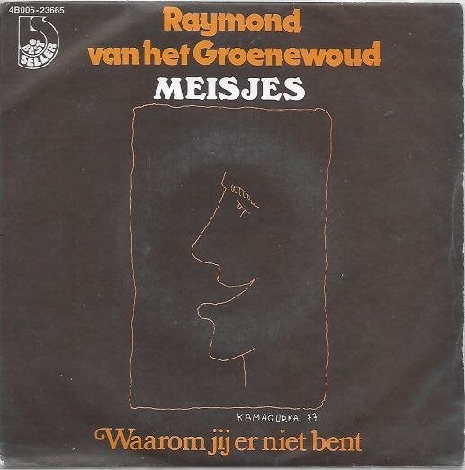 raymond van het groenewoud - meisjes, Cd's en Dvd's, Vinyl | Nederlandstalig, Ophalen of Verzenden