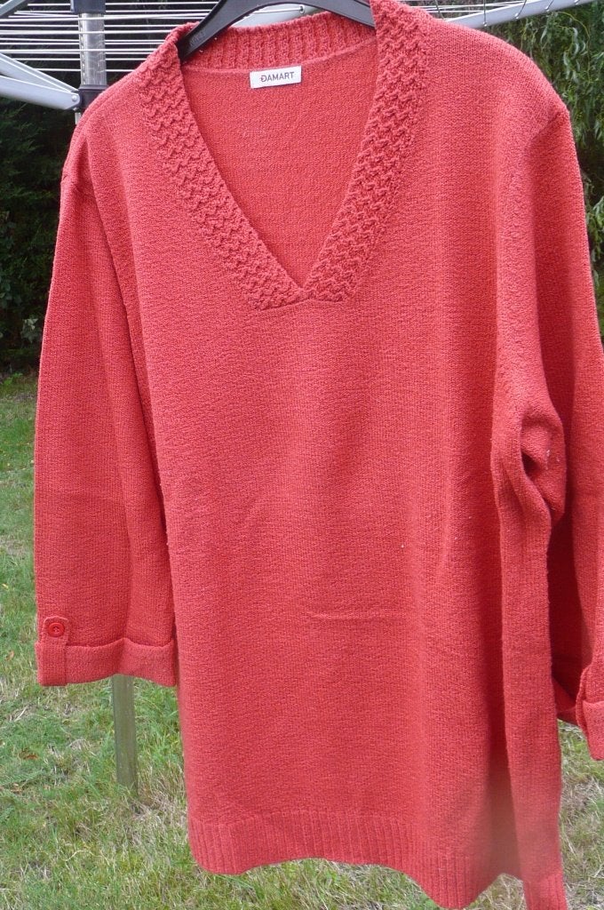Tussen seizoen pull koraalkleur Damart (a404), Kleding | Dames, Overige kleuren, Maat 46/48 (XL) of groter, Ophalen of Verzenden