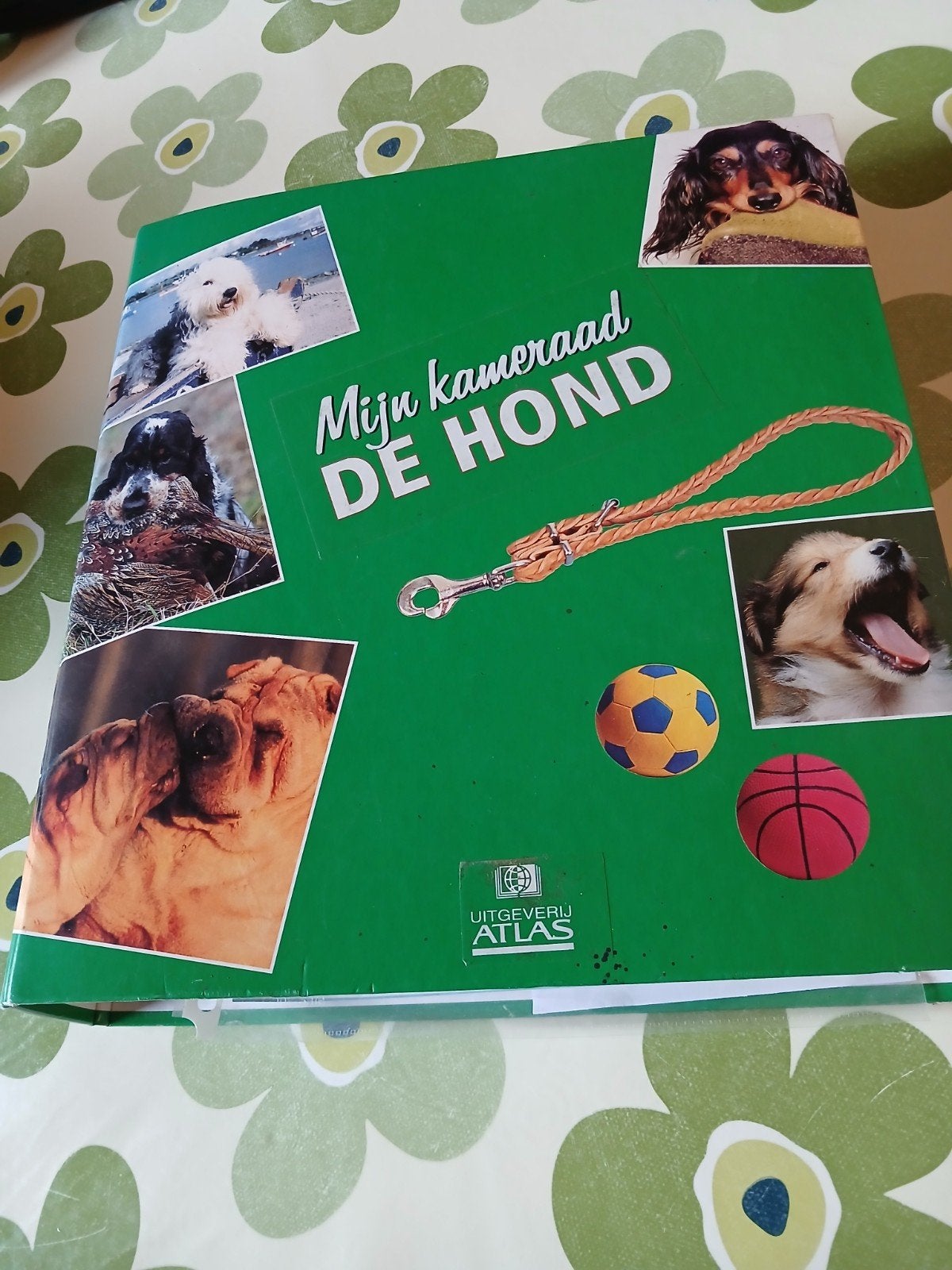 boek  honden, Boeken, Ophalen, Honden