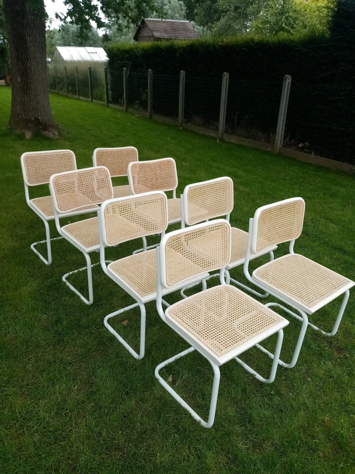 witte cesca-model stoel naar het ontwerp van Marcel Breuer, Huis en Inrichting, Stoelen, Ophalen