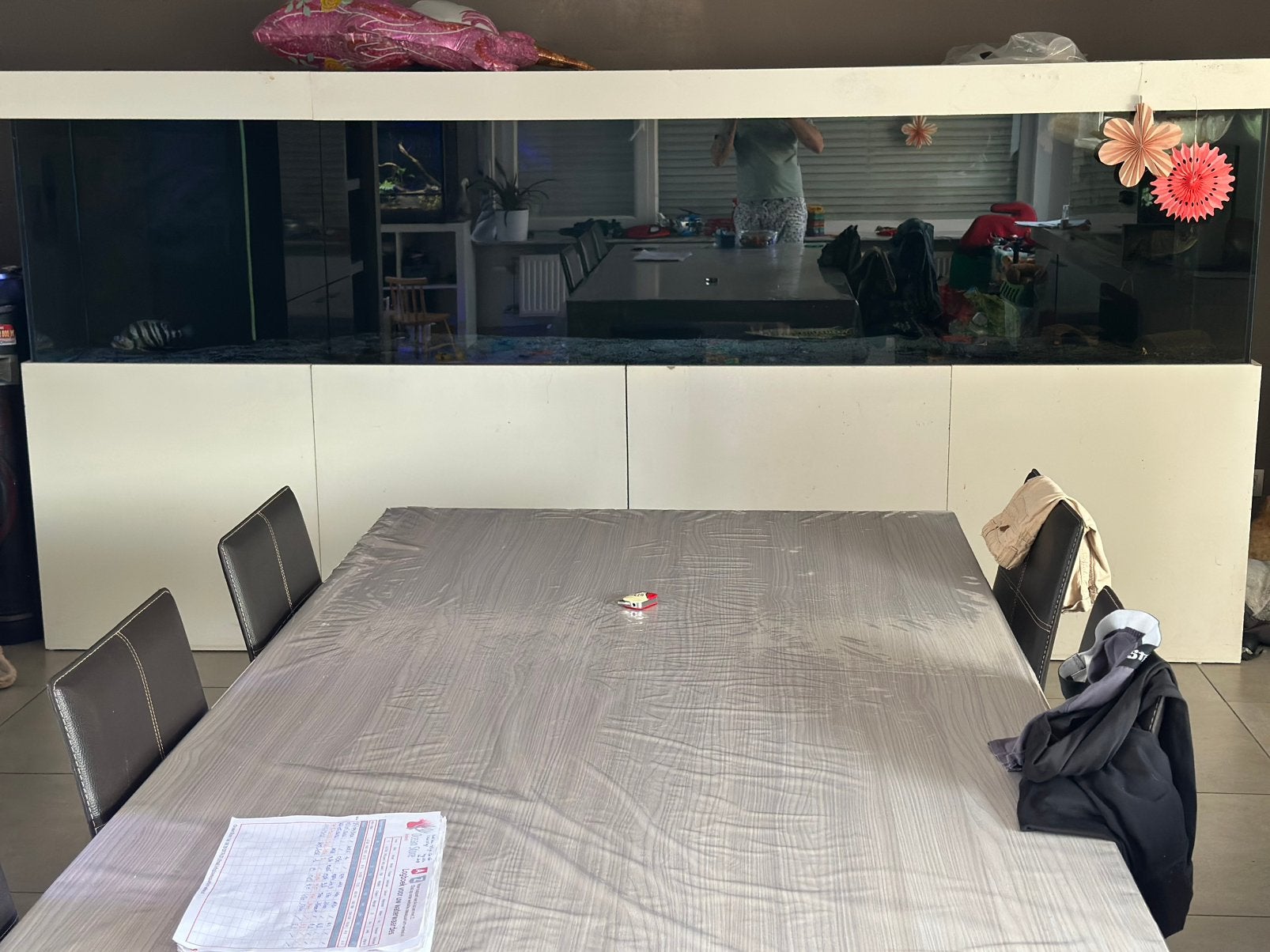Aquarium met vissen, Dieren en Toebehoren, Vissen | Aquaria en Toebehoren, Zo goed als nieuw, Ophalen