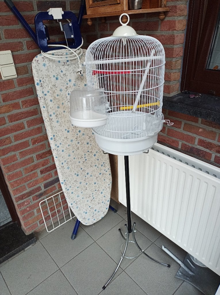 Vogelkooi op staander, Dieren en Toebehoren, Ophalen, Gebruikt, Metaal, Vogelkooi