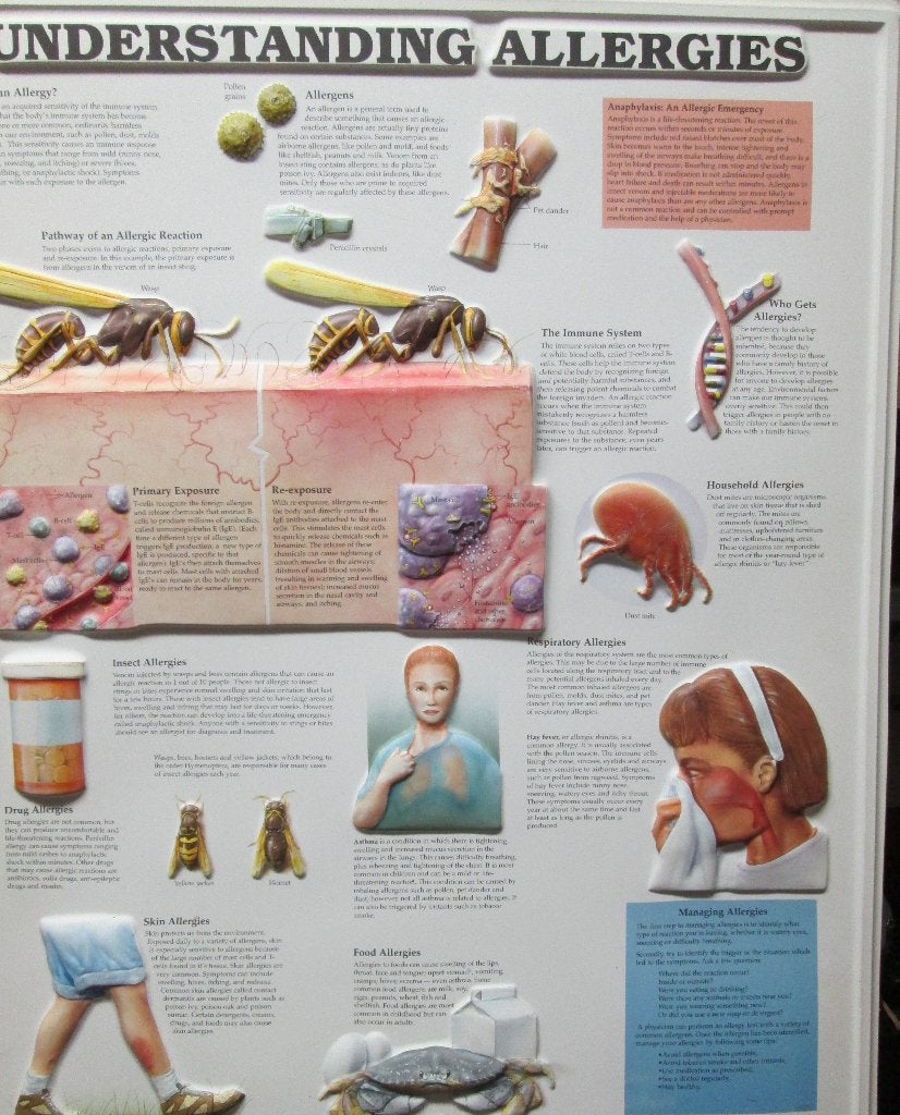 Medische plaat "Allergies" in kunststof, Ophalen, Natuur en Biologie