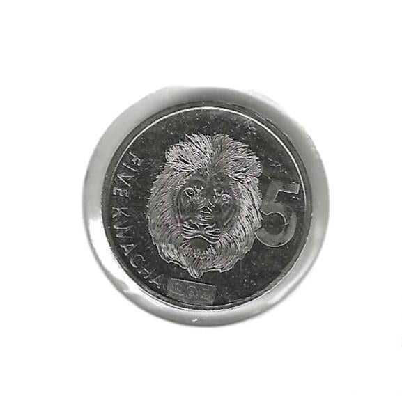 Zambia, 5 Kwacha 2024., Postzegels en Munten, Munten | Afrika, Ophalen of Verzenden, Zambia, Losse munt