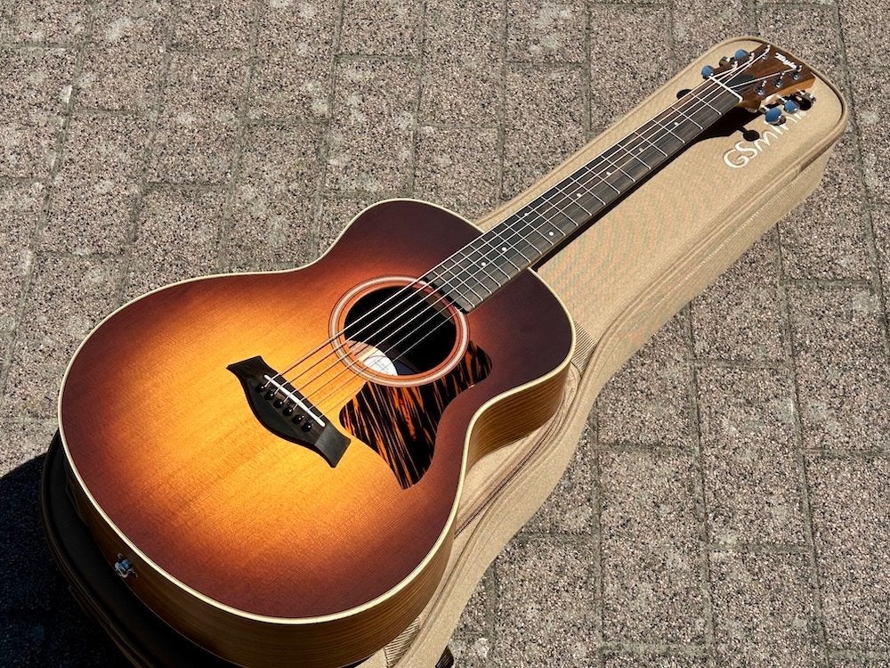 Taylor 2025 GS Mini-E Rosewood SB + Gigbag, Muziek en Instrumenten, Ophalen of Verzenden, Zo goed als nieuw, Western- of Steelstringgitaar