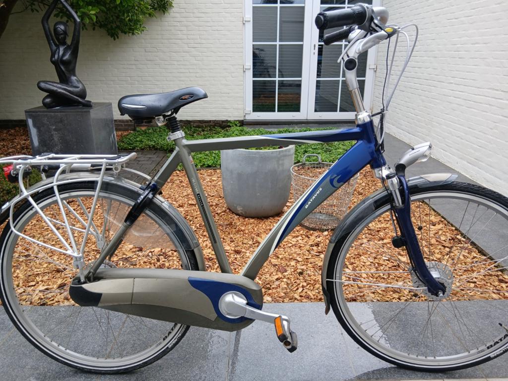 Herenfiets, Batavus, Fietsen en Brommers, Fietsen | Heren | Herenfietsen, Ophalen, Batavus, Versnellingen