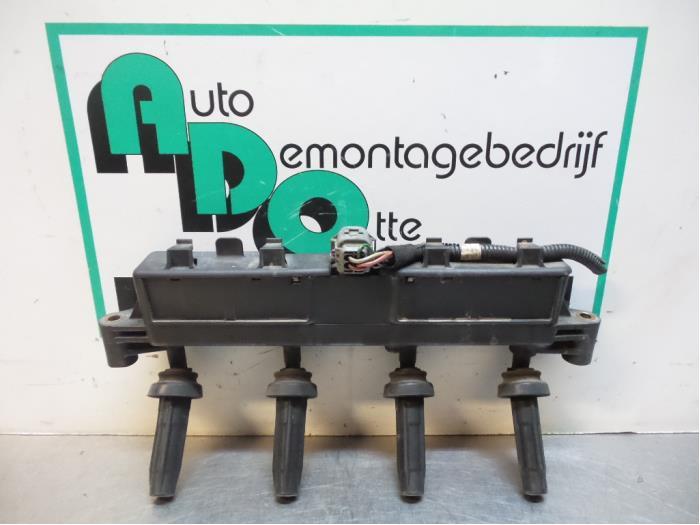 Allumage DIS d'un Peugeot 206 (206 98-), -, 3 mois de garantie, Utilisé, -