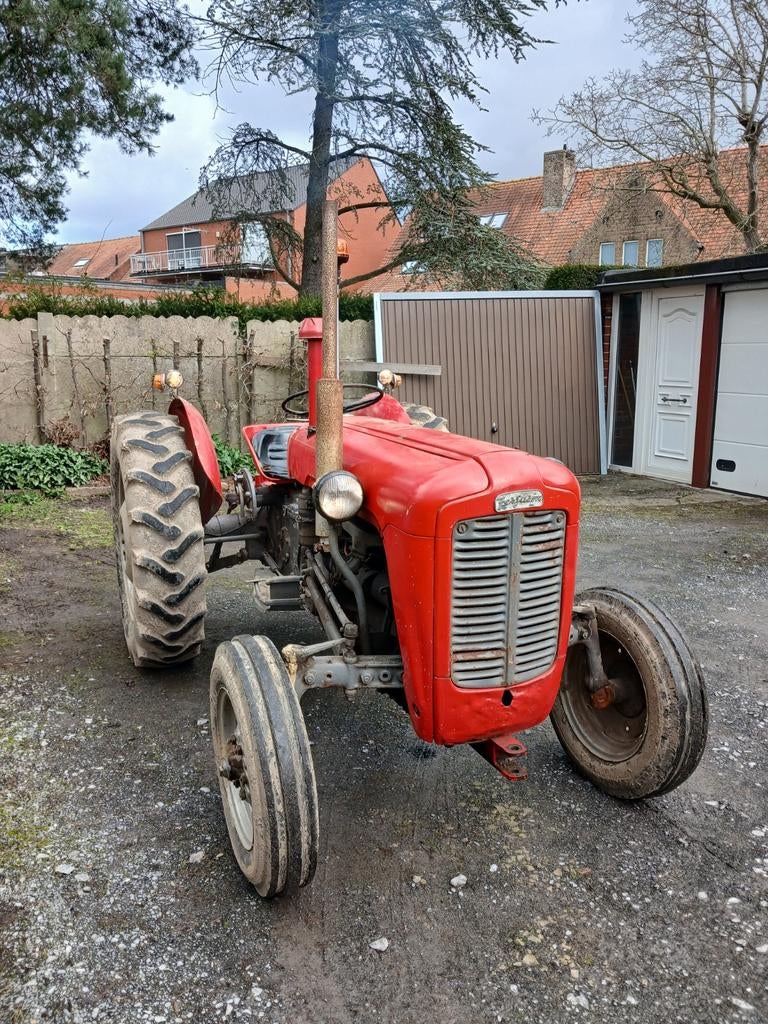 Ferguson goudbuik, Auto's, Particulier, Te koop