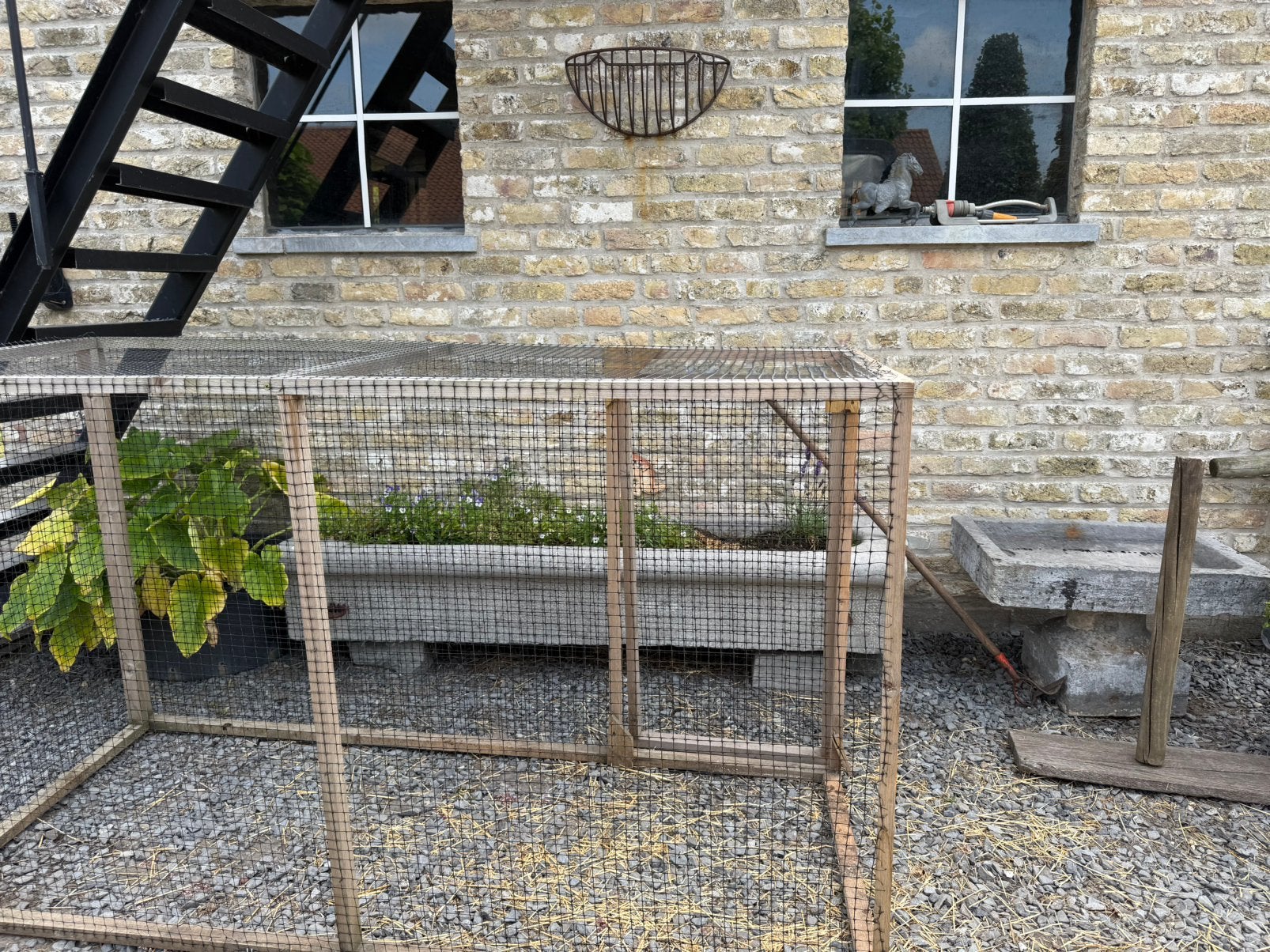 Kippe of konijne ren te koop, Dieren en Toebehoren, Kip