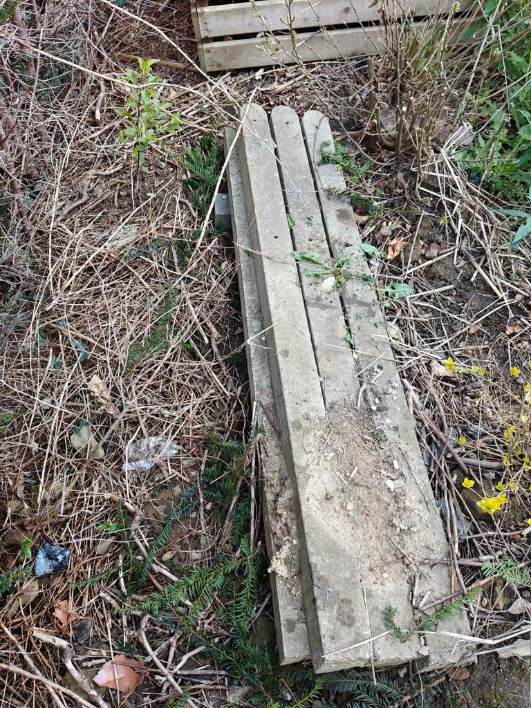 GRATIS zes betonnen palen voor scheiding, Tuin en Terras, Ophalen
