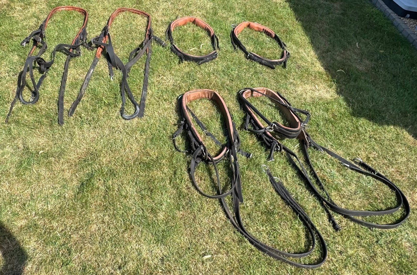 Dubbelspan leder maat Cob, Dieren en Toebehoren, Ophalen, Gebruikt, Overige disciplines, Mentuig