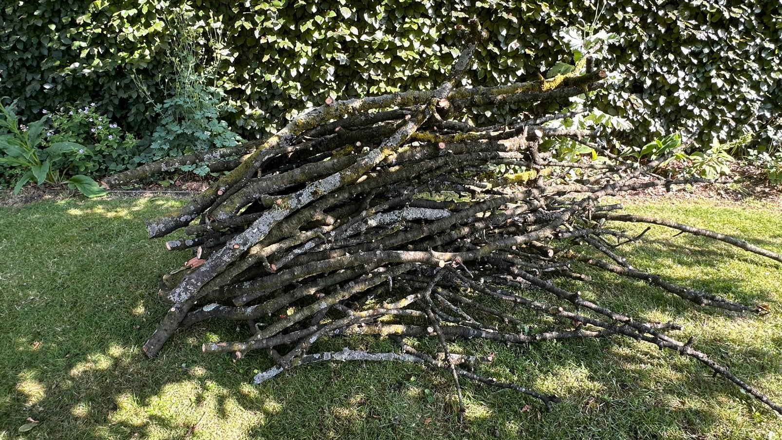 Gratis brandhout, Tuin en Terras, Brandhout, Ophalen