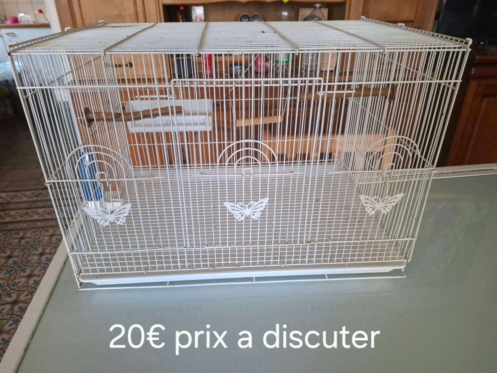 cage a oiseaux, Enlèvement