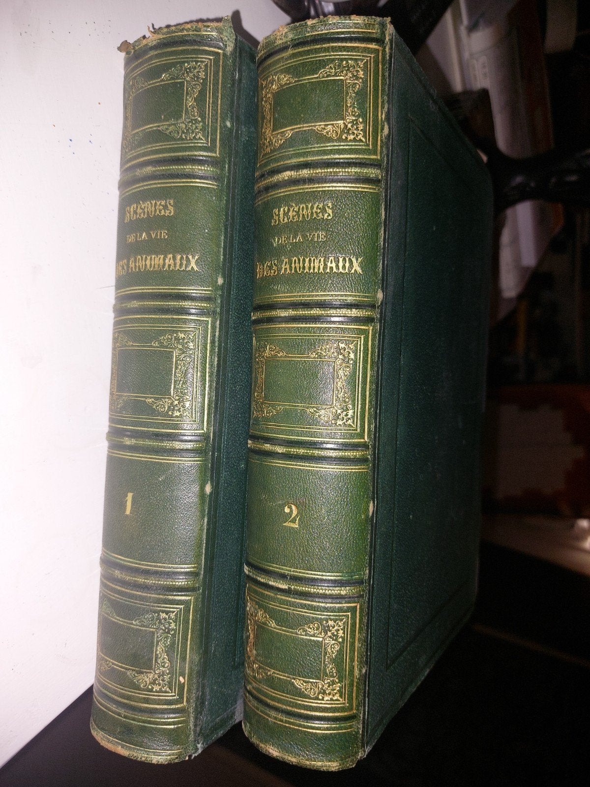 Scènes Des Animaux 1842 vignettes Par GRANDVILLE , J.J., Ophalen