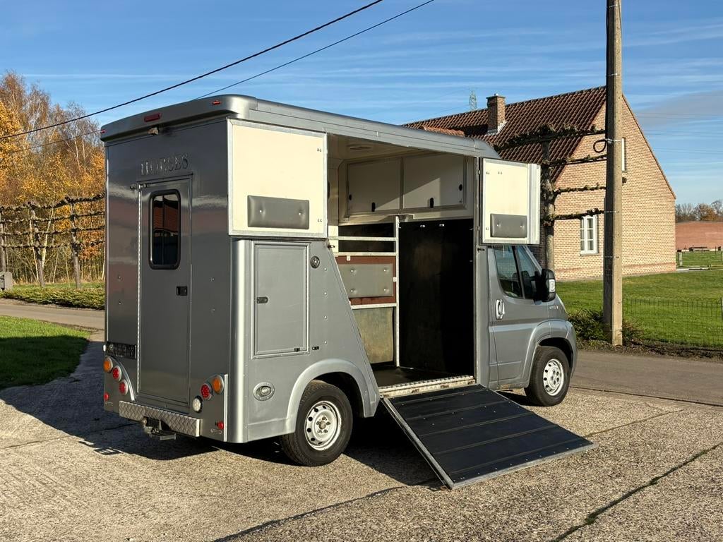 Peugeot Boxer 2.2HDI Paardencamionette Hengsten Horses, Ophalen