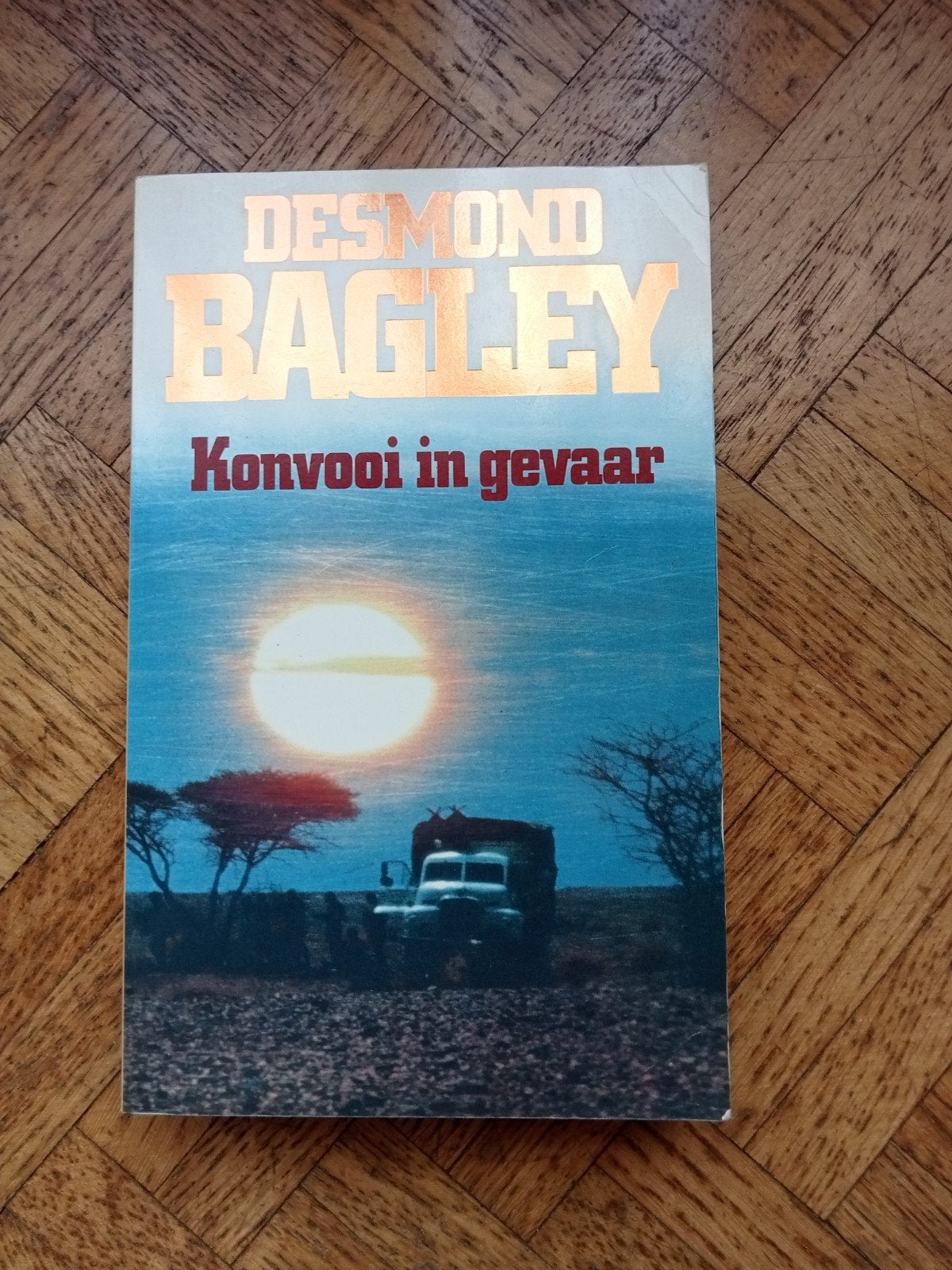 Desmond Bagley: Konvooi in gevaar, Ophalen of Verzenden, Gelezen