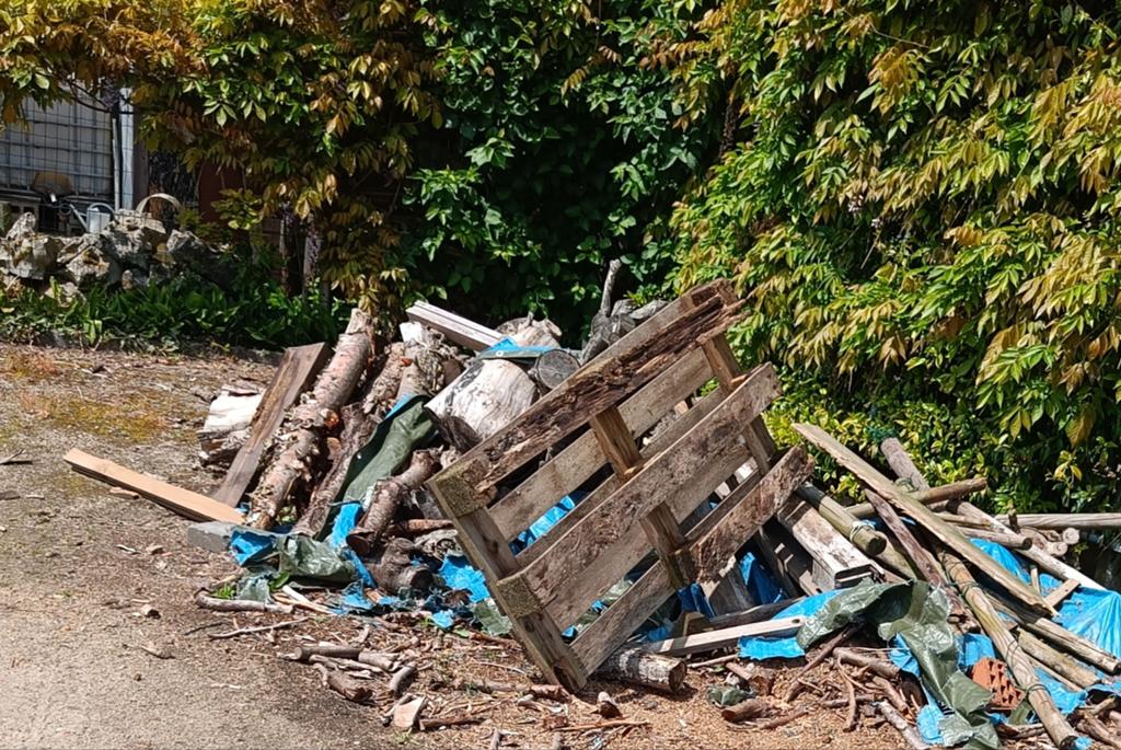 Gratis brandhout, Enlèvement